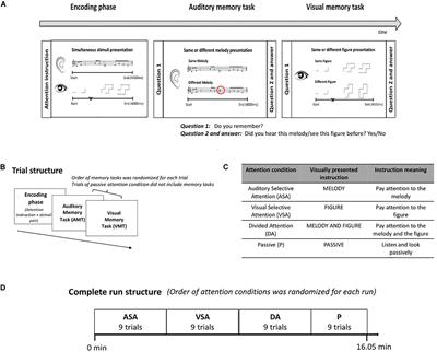 Neural Dynamics of Improved Bimodal Attention and Working Memory in Musically Trained Children
